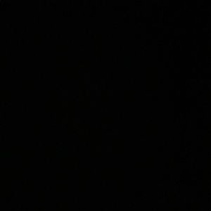 Meet your Posher, Honorio